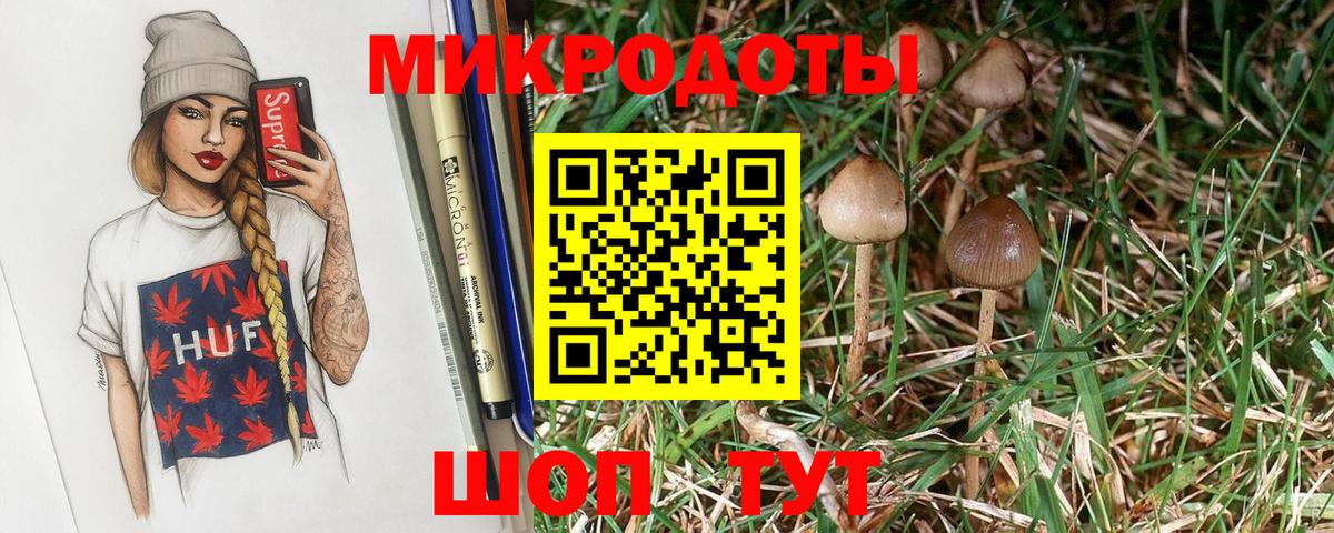 Псилоцибиновые грибы GOLDEN TEACHER Белово